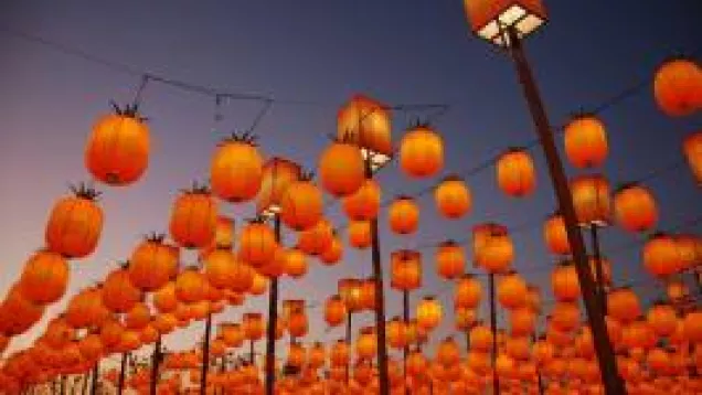 rolls of orange lanterns